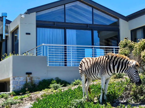 3 Bedroom Property for Sale in Romansbaai Estate Western Cape